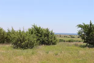 1019 Kingsley Ct, Weatherford, TX 76087 - Photo 14
