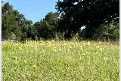 Lot 1 SE County Road 3186, Corsicana, TX 75109 - Photo 20