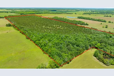 Tbd County Road 15220, Deport, TX 75435 - Photo 6