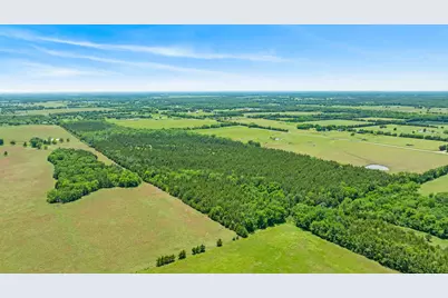 Tbd County Road 15220, Deport, TX 75435 - Photo 12