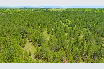 Tbd County Road 15220, Deport, TX 75435 - Photo 8