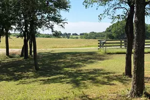 279 Hcr 1367, Hillsboro, TX 76645 - Photo 22