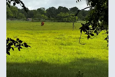 16 Acres Fm 1655 Cr-1460, Chico, TX 76431 - Photo 26