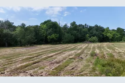 3164 County Road 1076, Celeste, TX 75423 - Photo 8