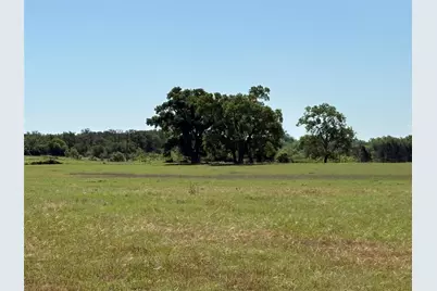 2966 Highway 679, Gorman, TX 76454 - Photo 10