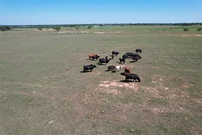 2966 Highway 679, Gorman, TX 76454 - Photo 20
