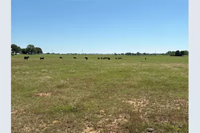 2966 Highway 679, Gorman, TX 76454 - Photo 12