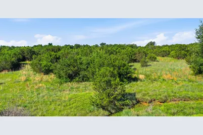 100 Gilmore Court, Lipan, TX 76462 - Photo 10