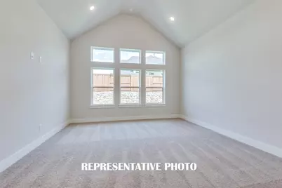 4171 Rosita Lane, Prosper, TX 75078 - Photo 12