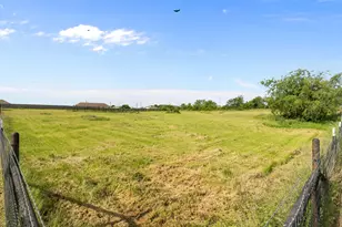 115 Blue Castle Ct, Weatherford, TX 76088 - Photo 4