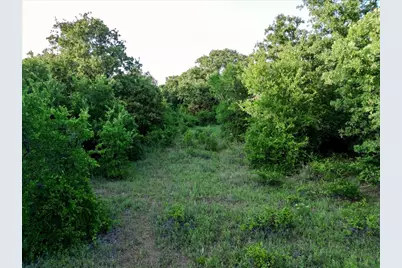 Tbd Rambling Road, Graford, TX 76486 - Photo 14