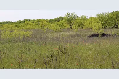 2077 A Shawver Road, Perrin, TX 76486 - Photo 28