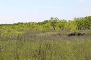 2077 A Shawver Rd, Perrin, TX 76486 - Photo 28
