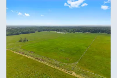 269 Vz County Road 4305, Ben Wheeler, TX 75754 - Photo 12