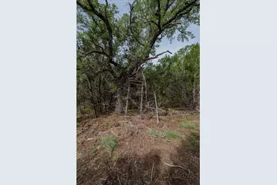 Tbd Mustang, Purmela, TX 76566 - Photo 10