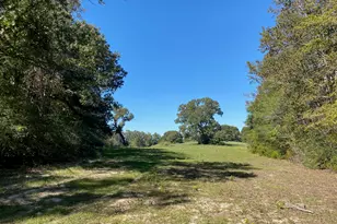 Tbd 006 County Road 242, Oakwood, TX 75855 - Photo 1