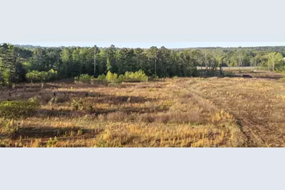 11241 Spur 248, Tyler, TX 75707 - Photo 4