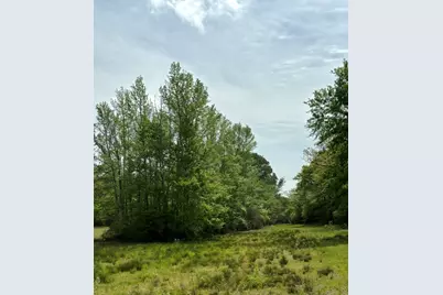 Tbd 007 County Road 242, Oakwood, TX 75855 - Photo 6