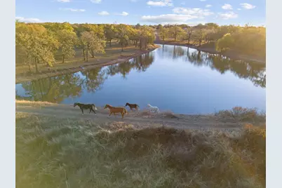 12664 Highway 199 W, Poolville, TX 76487 - Photo 6