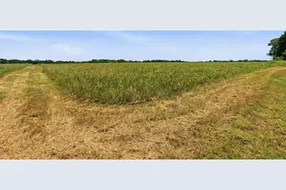 421 Chambers Creek Trail, Alvarado, TX 76009 - Photo 26