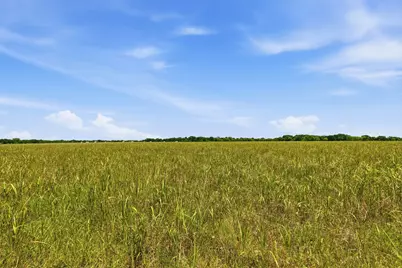 421 Chambers Creek Trail, Alvarado, TX 76009 - Photo 6