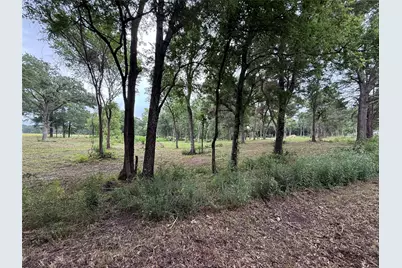 200 Livingston Street, Edgewood, TX 75117 - Photo 2