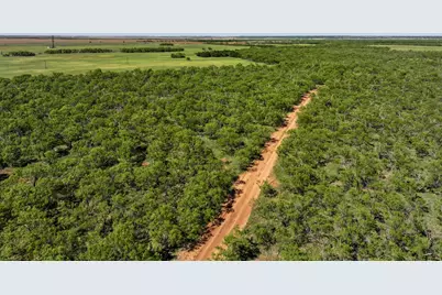 Tbd Tract 1 Fm 3116, Hawley, TX 79525 - Photo 12