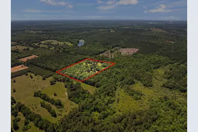 4469 County Road 1579, Avinger, TX 75630 - Photo 36
