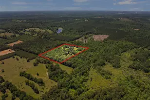 4469 Co Rd 1579, Avinger, TX 75630 - Photo 36