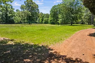 4469 Co Rd 1579, Avinger, TX 75630 - Photo 40