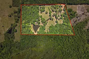 4469 Co Rd 1579, Avinger, TX 75630 - Photo 34