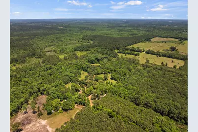 4469 County Road 1579, Avinger, TX 75630 - Photo 38