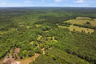 4469 Co Rd 1579, Avinger, TX 75630 - Photo 38