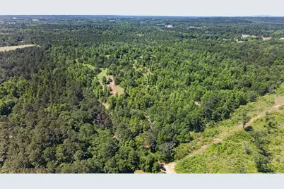 0 Anderson County Road 359 (Off), Palestine, TX 75801 - Photo 18