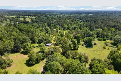 0 Anderson County Road 359 (Off), Palestine, TX 75801 - Photo 2