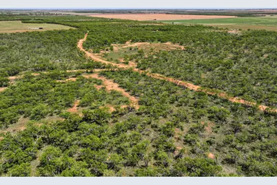 Tbd Tract 8 Fm 1812, Hawley, TX 79525 - Photo 16