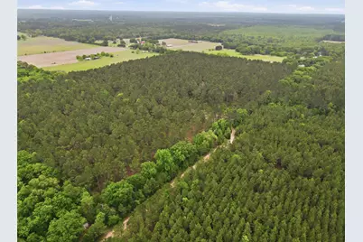 000 Private Rd 7832, Hawkins, TX 75765 - Photo 4