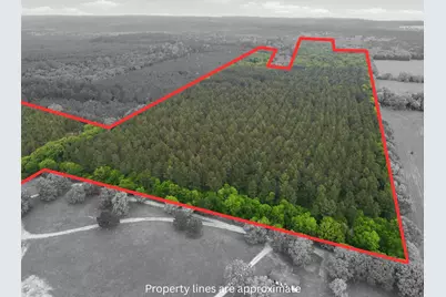 000 County Road 3824, Hawkins, TX 75765 - Photo 1
