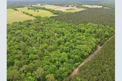 000 County Road 3824, Hawkins, TX 75765 - Photo 4