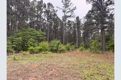 000 County Road 3824, Hawkins, TX 75765 - Photo 18