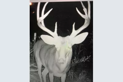 000 County Road 3824, Hawkins, TX 75765 - Photo 20