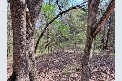 9999 Fm 2645, Ector, TX 75439 - Photo 14