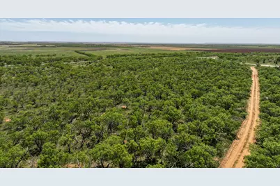 Tbd Tract 10 Fm 1812, Hawley, TX 79525 - Photo 6