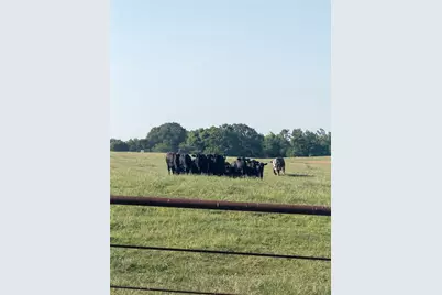 11843 Highway 175 E Highway, LaRue, TX 75770 - Photo 14