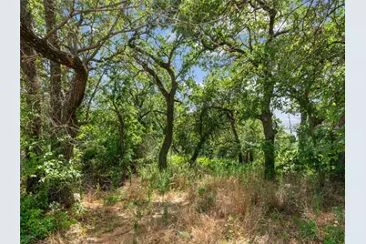 Lot 54 Kilkenny Rd, Poolville, TX 76487 - Photo 4