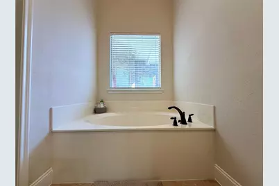 10261 Limbercost Lane, Frisco, TX 75035 - Photo 12