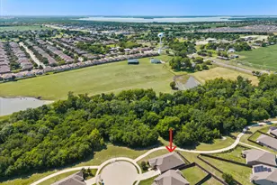 209 Maverick Ct, Lavon, TX 75166 - Photo 38