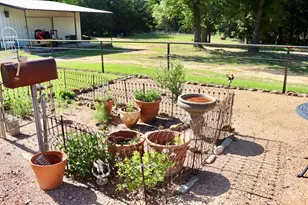 387 County Rd 2101, Ivanhoe, TX 75447 - Photo 8