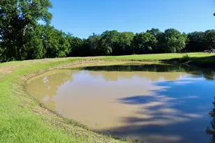 387 County Rd 2101, Ivanhoe, TX 75447 - Photo 30
