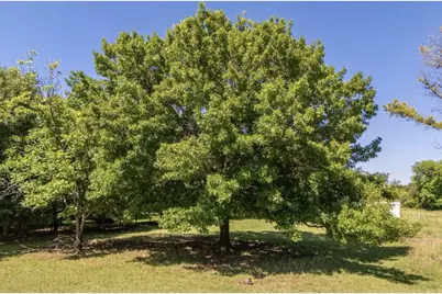 163 Fenn Road, Blum, TX 76627 - Photo 6